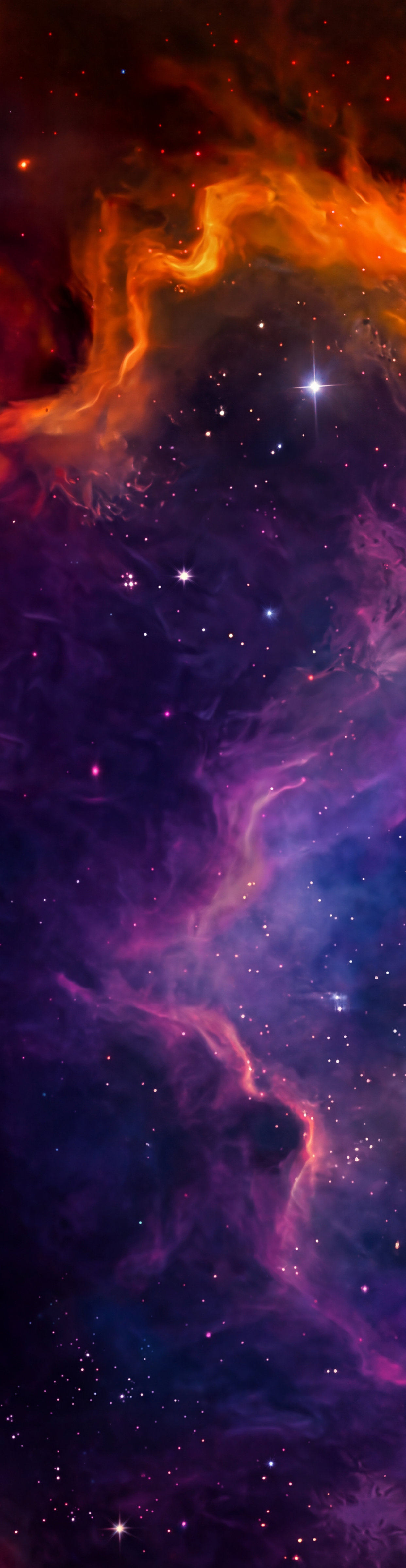 parallax image